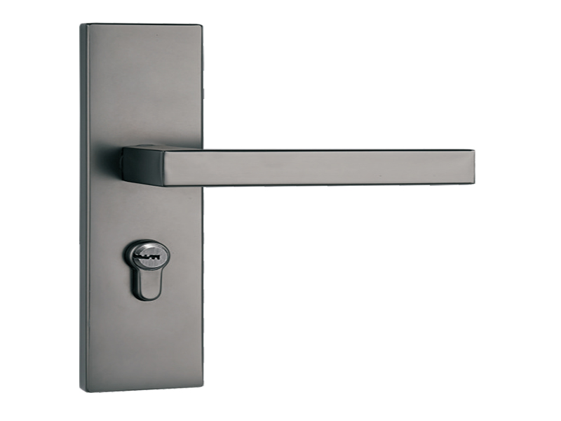 Stainless Steel Interior Door Handles