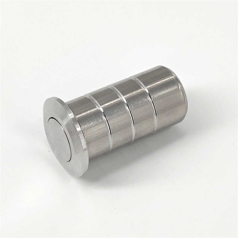 Latch Dust Protector